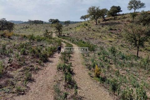 Terra a Ourique, Beja, Ourique - € 280.000 | Ref: JF-372EE - foto 11