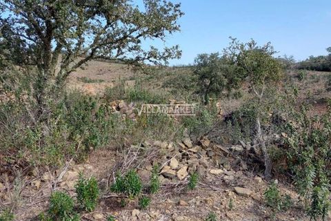 Terra a Ourique, Beja, Ourique - € 280.000 | Ref: JF-372EE - foto 12