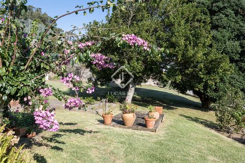 Villa i A Guarda, Pontevedra, A Guarda - € 550.000 | Ref: VIG53358 - foto 35