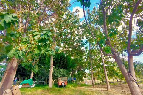 Landejendom i Polop, Alicante, Polop - € 850.000 | Ref: MAS0018 - foto 3