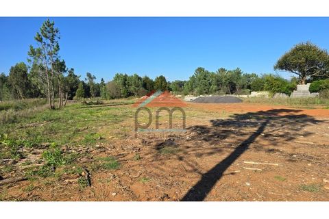 Helårsgrund i Moncao, Viana do Castelo, Moncao - € 590.000 | Ref: TE500 - foto 8