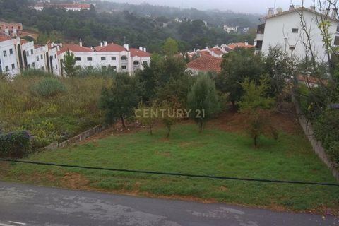 Helårsgrund i Coimbra, Coimbra, Coimbra - € 110.000 | Ref: C0462-00001 - foto 3