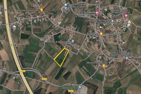 Helårsgrund i Anadia, Aveiro, Anadia - € 49.000 | Ref: C0385-00695 - foto 3