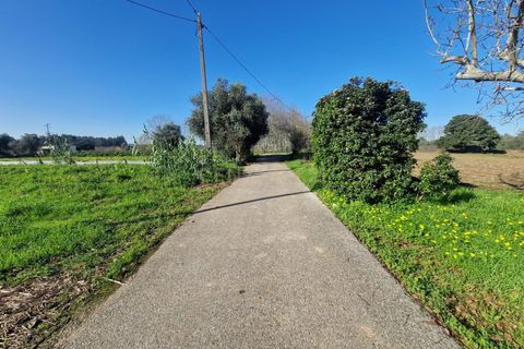 Helårsgrund i Anadia, Aveiro, Anadia - € 49.000 | Ref: C0385-00695 - foto 4