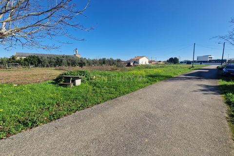 Helårsgrund i Anadia, Aveiro, Anadia - € 49.000 | Ref: C0385-00695 - foto 5