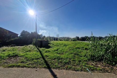 Helårsgrund i Anadia, Aveiro, Anadia - € 49.000 | Ref: C0385-00695 - foto 6