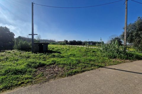 Helårsgrund i Anadia, Aveiro, Anadia - € 49.000 | Ref: C0385-00695 - foto 8