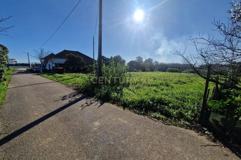 Helårsgrund i Anadia, Aveiro, Anadia - € 49.000 | Ref: C0385-00695 - foto 7