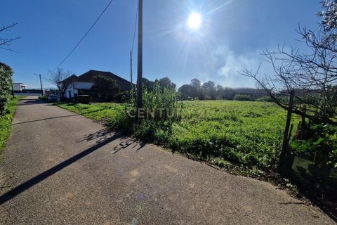 Helårsgrund i Anadia, Aveiro, Anadia - € 49.000 | Ref: C0385-00695 - foto 9
