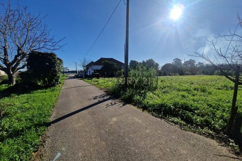 Helårsgrund i Anadia, Aveiro, Anadia - € 49.000 | Ref: C0385-00695 - foto 10