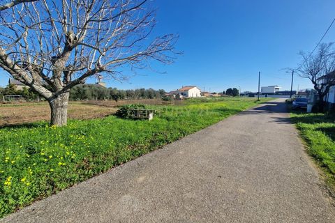 Helårsgrund i Anadia, Aveiro, Anadia - € 49.000 | Ref: C0385-00695 - foto 11