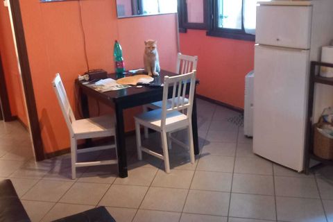 Lejlighed i Parma, Parma, Parma - € 94.700 | Ref: AN-APT - foto 6