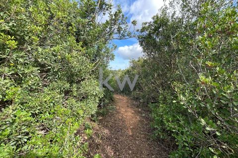 Helårsgrund i Luz, Faro, Luz - € 125.000 | Ref: 1210-3149 - foto 19