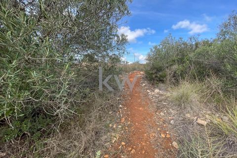 Helårsgrund i Luz, Faro, Luz - € 125.000 | Ref: 1210-3149 - foto 23