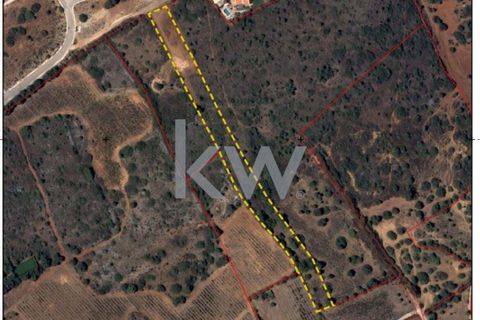 Helårsgrund i Luz, Faro, Luz - € 125.000 | Ref: 1210-3149 - foto 27