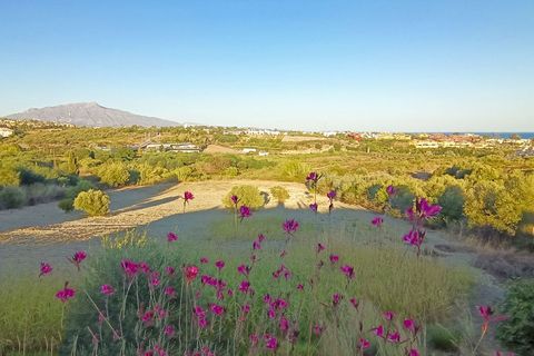 Helårsgrund i Cancelada, Malaga, Cancelada - € 4.100.000 | Ref: R4798588 - foto 6