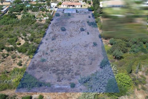 Helårsgrund i Cancelada, Malaga, Cancelada - € 4.100.000 | Ref: R4798588 - foto 16