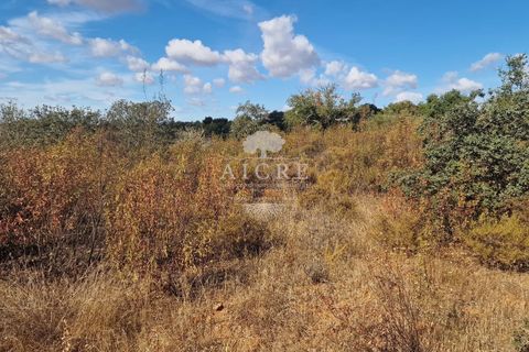 Helårsgrund i Evora, Evora, Evora - € 36.500 | Ref: 2462024EM - foto 3