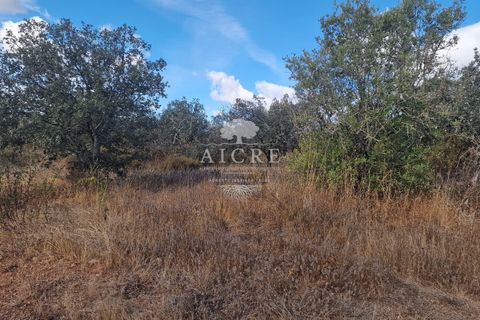 Helårsgrund i Evora, Evora, Evora - € 36.500 | Ref: 2462024EM - foto 5