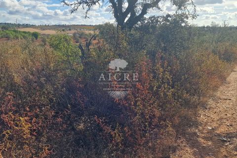 Helårsgrund i Evora, Evora, Evora - € 36.500 | Ref: 2462024EM - foto 7
