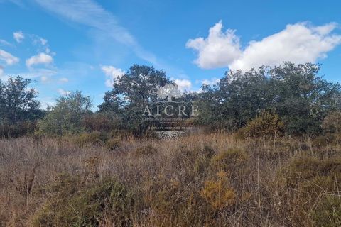Helårsgrund i Evora, Evora, Evora - € 36.500 | Ref: 2462024EM - foto 10