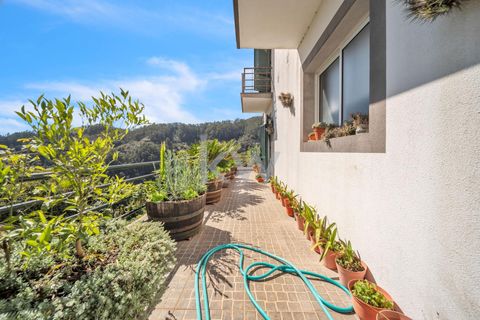 Byhus i Camara de Lobos, Madeira, Camara de Lobos - € 450.000 | Ref: KWPT-006488 - foto 12