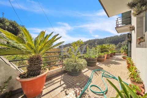 Byhus i Camara de Lobos, Madeira, Camara de Lobos - € 450.000 | Ref: KWPT-006488 - foto 14