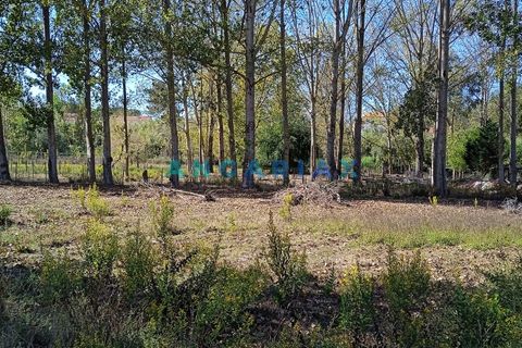 Villa i Leiria, Leiria, Leiria - € 450.000 | Ref: ANG1239 - foto 12