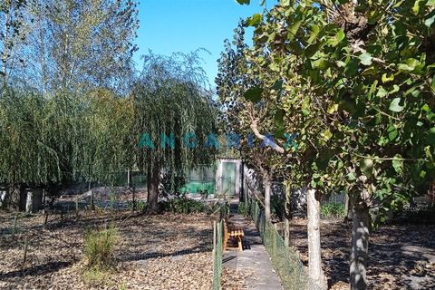 Villa i Leiria, Leiria, Leiria - € 450.000 | Ref: ANG1239 - foto 7