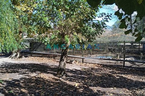 Villa i Leiria, Leiria, Leiria - € 450.000 | Ref: ANG1239 - foto 4