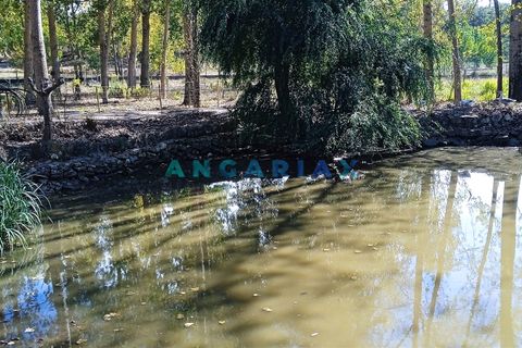 Villa i Leiria, Leiria, Leiria - € 450.000 | Ref: ANG1239 - foto 9