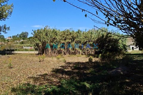 Villa i Leiria, Leiria, Leiria - € 450.000 | Ref: ANG1239 - foto 10