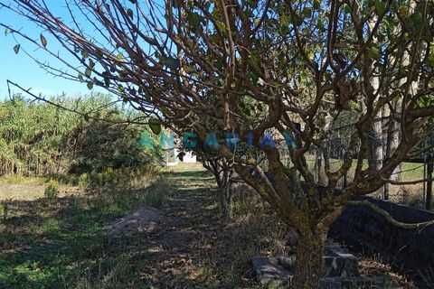 Villa i Leiria, Leiria, Leiria - € 450.000 | Ref: ANG1239 - foto 11