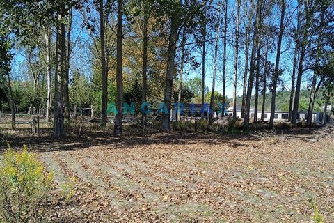 Villa i Leiria, Leiria, Leiria - € 450.000 | Ref: ANG1239 - foto 2