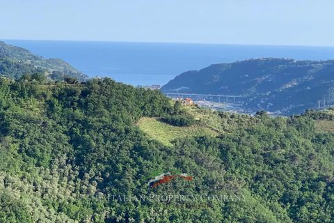 Villa i Dolceacqua, Imperia, Dolceacqua - € 550.000 | Ref: D435 - foto 2