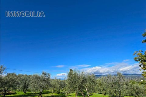 Villa i Arezzo, Arezzo, Arezzo - € 720.000 | Ref: 579 - foto 1