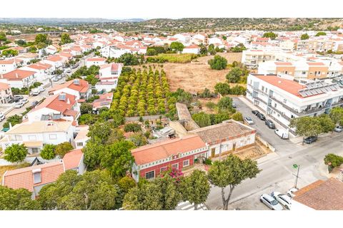 Helårsgrund i Tunes, Faro, Tunes - € 1.100.000 | Ref: TR-003 - foto 3