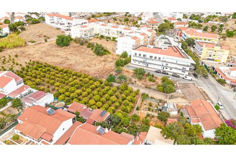 Helårsgrund i Tunes, Faro, Tunes - € 1.100.000 | Ref: TR-003 - foto 4