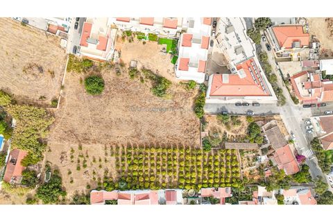Helårsgrund i Tunes, Faro, Tunes - € 1.100.000 | Ref: TR-003 - foto 9