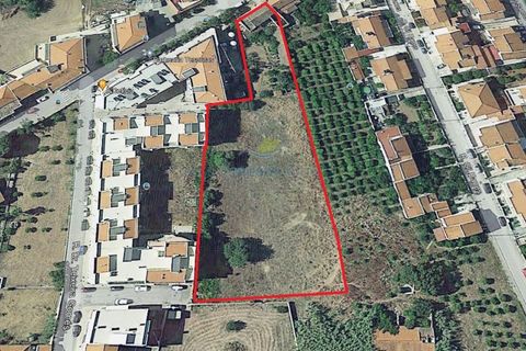 Helårsgrund i Tunes, Faro, Tunes - € 1.100.000 | Ref: TR-003 - foto 10
