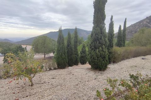 Landejendom i Tibi, Alicante, Tibi - € 320.000 | Ref: COL-57223 - foto 13