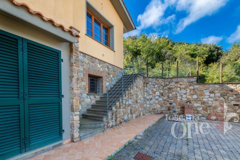 Villa i Rosignano Marittimo, Livorno, Rosignano Marittimo - € 450.000 | Ref: 18735 - foto 25