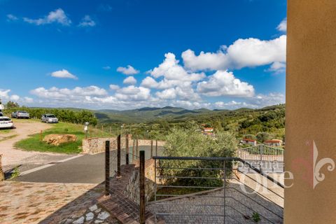 Villa i Rosignano Marittimo, Livorno, Rosignano Marittimo - € 450.000 | Ref: 18735 - foto 27