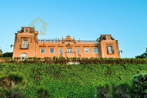 Villa i Silves, Faro, Silves - € 4.000.000 | Ref: PAL_388 - foto 19