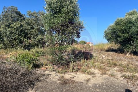 Helårsgrund i Tomar, Santarem, Tomar - € 63.000 | Ref: T 311 - foto 20