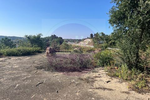 Helårsgrund i Tomar, Santarem, Tomar - € 63.000 | Ref: T 311 - foto 21