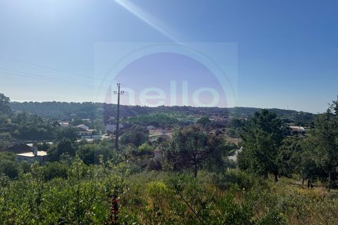 Helårsgrund i Tomar, Santarem, Tomar - € 63.000 | Ref: T 311 - foto 22