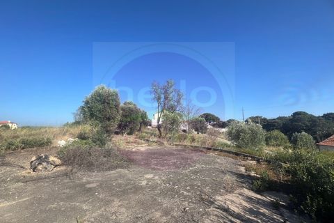 Helårsgrund i Tomar, Santarem, Tomar - € 63.000 | Ref: T 311 - foto 23