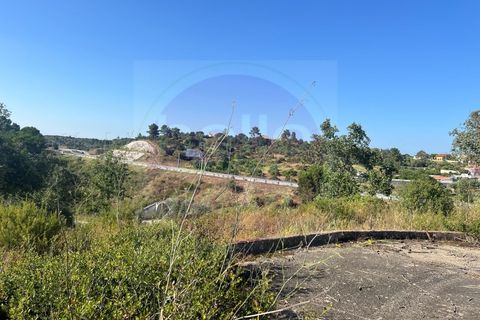 Helårsgrund i Tomar, Santarem, Tomar - € 63.000 | Ref: T 311 - foto 24