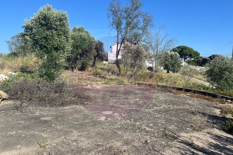 Helårsgrund i Tomar, Santarem, Tomar - € 63.000 | Ref: T 311 - foto 25